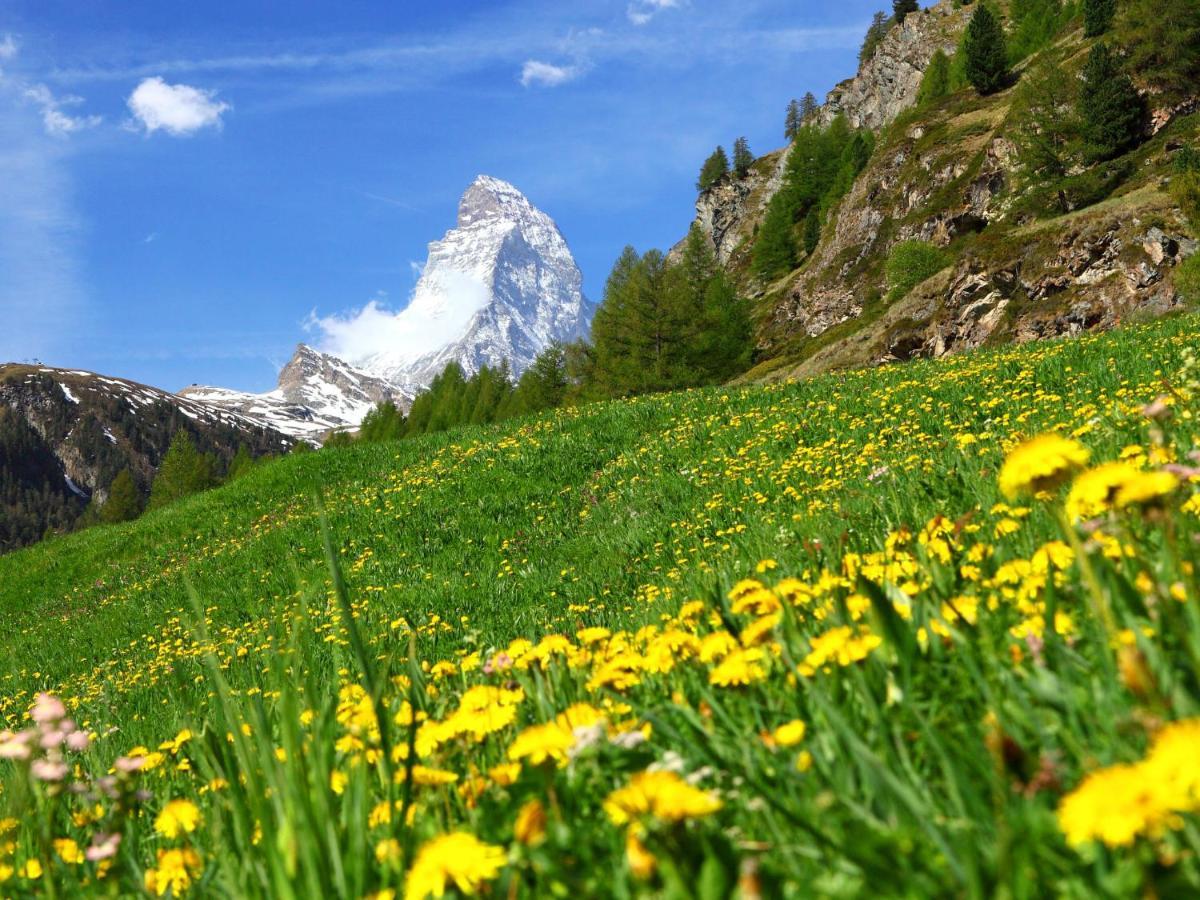 Apartment By Interhome Zermatt Luaran gambar